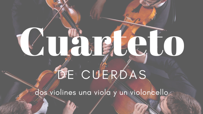 Cuarteto de cuerdas música para la ceremonia civil tocando las mejores melodías para la boda las mejores melodías para la entrada de la novia violin viola cello violoncello música famosa para bodas